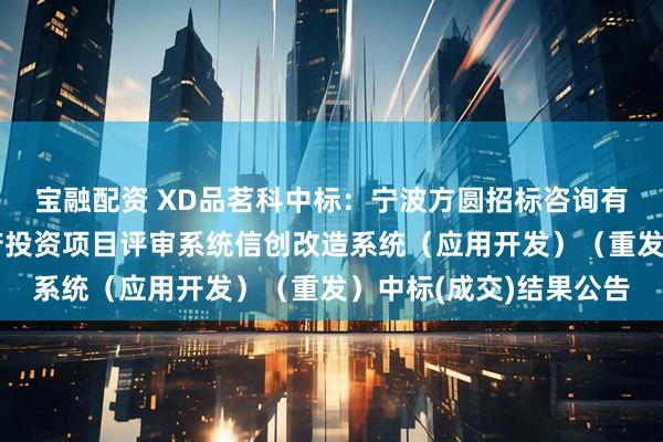 宝融配资 XD品茗科中标：宁波方圆招标咨询有限公司关于北仑区政府投资项目评审系统信创改造系统（应用开发）（重发）中标(成交)结果公告