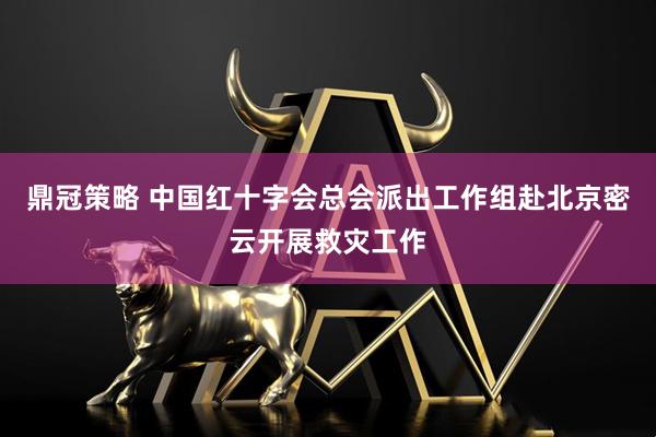 鼎冠策略 中国红十字会总会派出工作组赴北京密云开展救灾工作