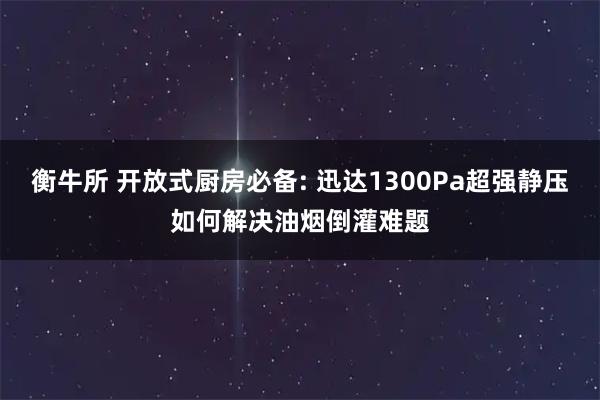 衡牛所 开放式厨房必备: 迅达1300Pa超强静压如何解决油烟倒灌难题